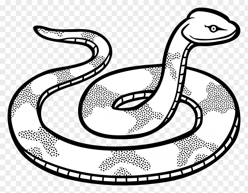 Snakes Snake Black And White Drawing Mamba Clip Art PNG