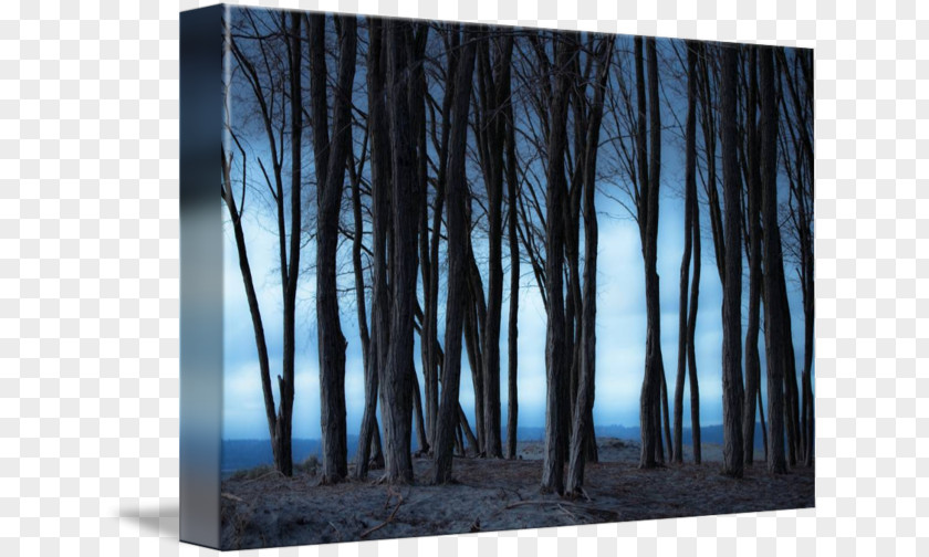 Wood Gallery Wrap Picture Frames Modern Art Canvas PNG