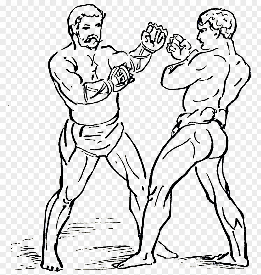 Boxing Gloves Cestus Gladiator Drawing Sport PNG