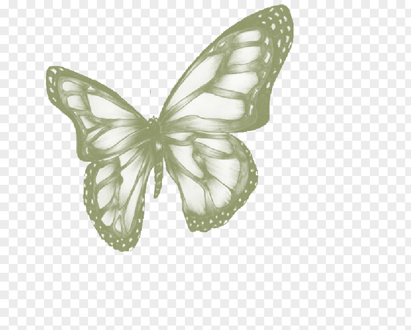 Butterfly Monarch Tattoo Black-and-gray Drawing PNG