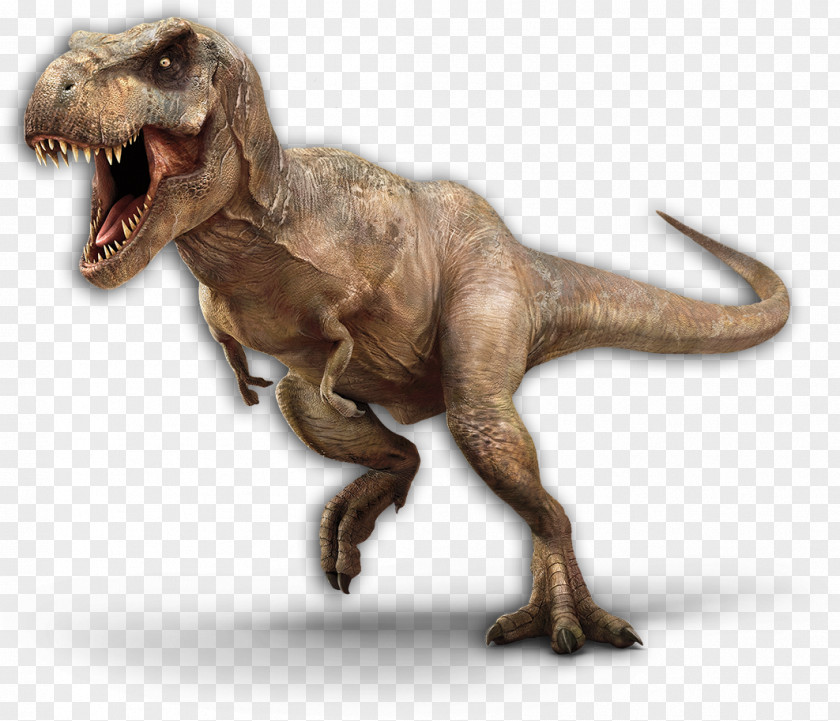 Dinosaur Era Tyrannosaurus Velociraptor Spinosaurus Therizinosaurus Jurassic Park PNG