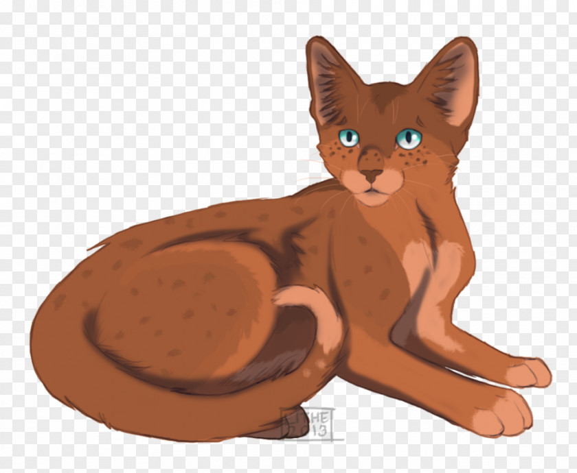 Freckle Havana Brown Abyssinian Kitten Whiskers Warriors PNG