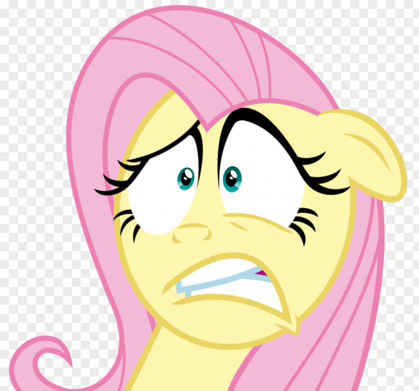 Fu Vector Fluttershy Pinkie Pie Applejack Pony Rainbow Dash PNG