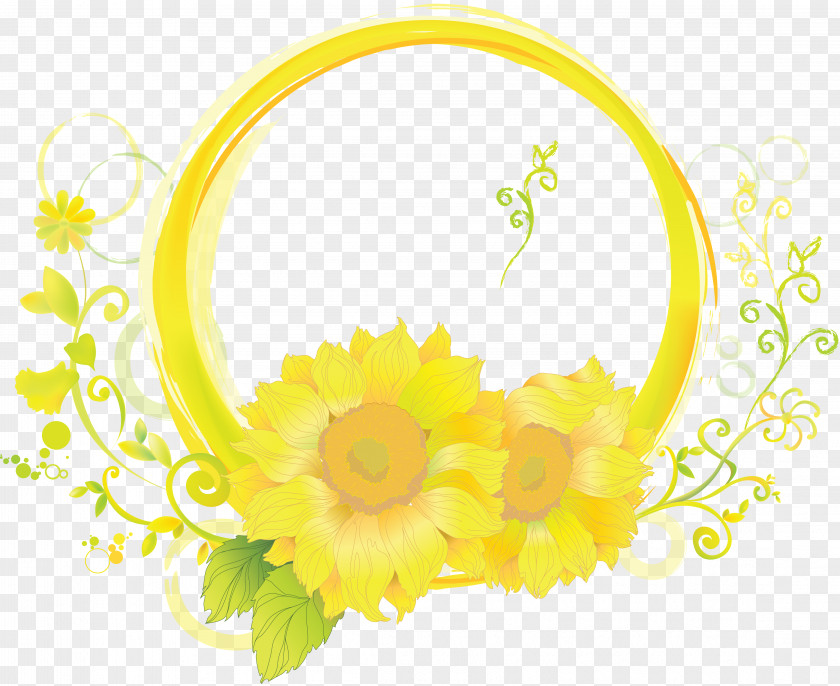 Holi Common Sunflower Desktop Wallpaper Clip Art PNG