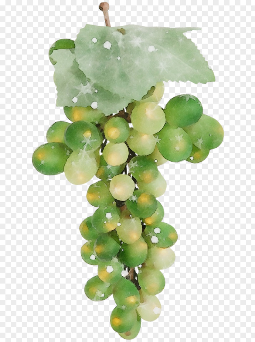 Seedless Fruit Sultana Grapevines Bead PNG