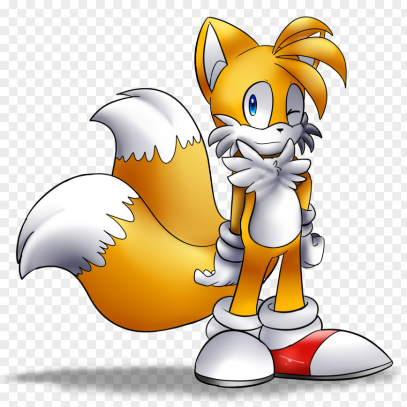 Tails Ariciul Sonic Desktop Wallpaper Drawing PNG