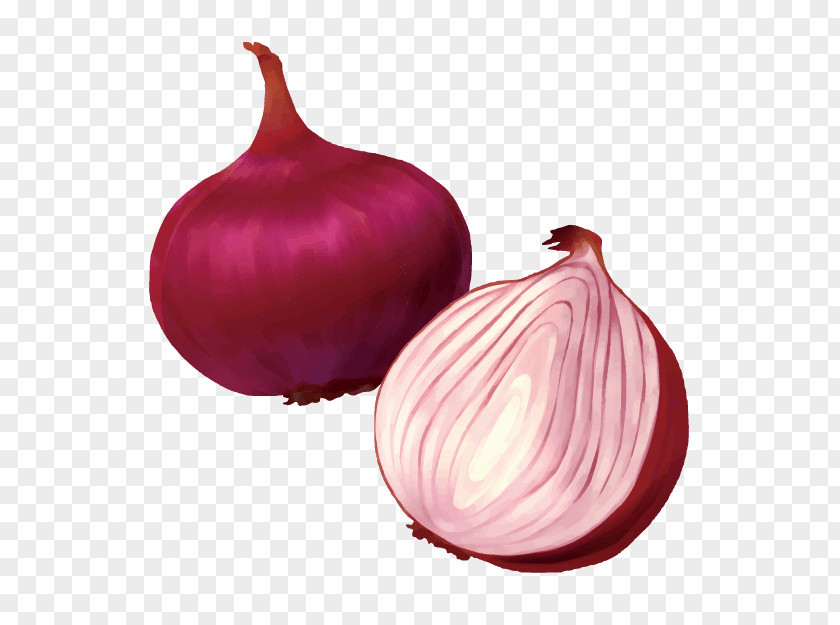 Vegetable Shallot Yellow Onion Food Red PNG