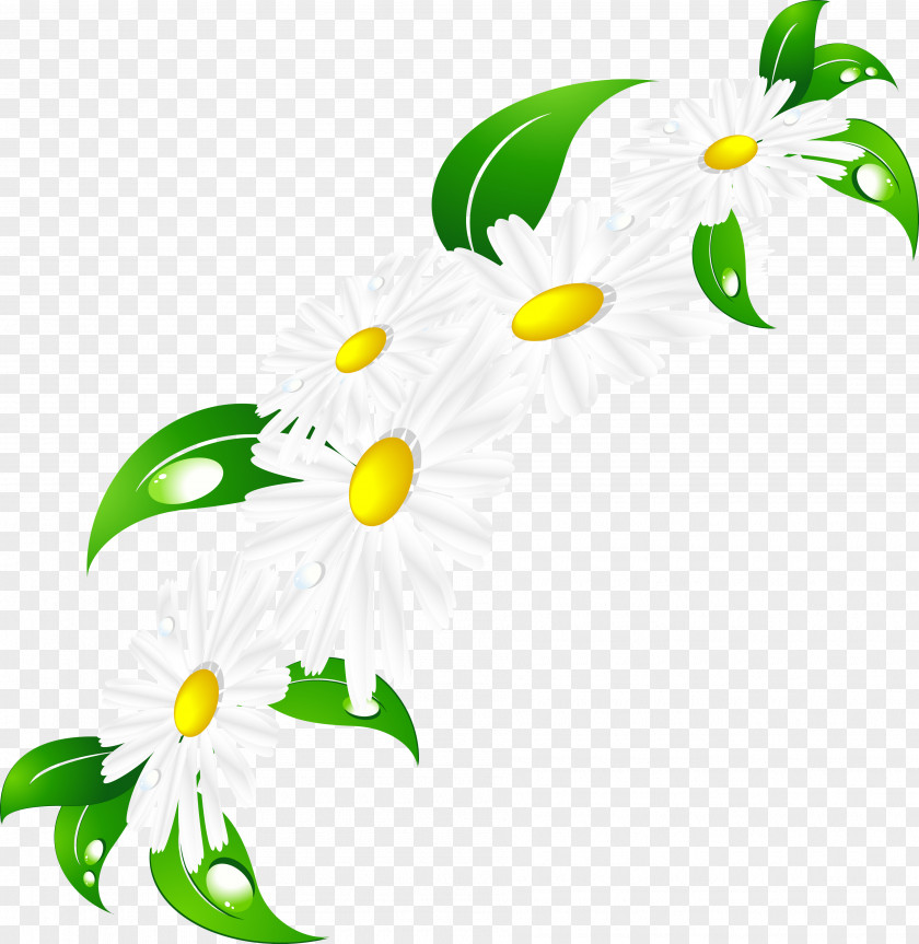 Camomile Tinker Bell Cartoon Clip Art PNG