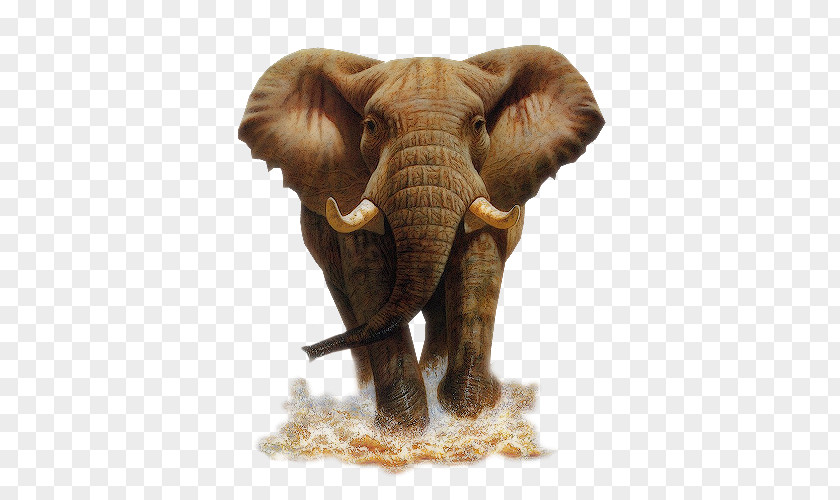 Elephant Mammoth PNG mammoth clipart PNG