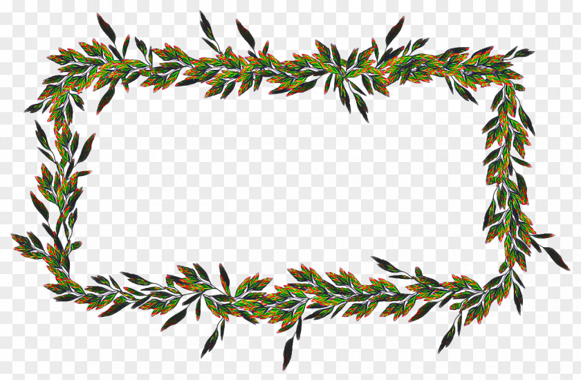 Evergreen Cypress Family Tree Background PNG
