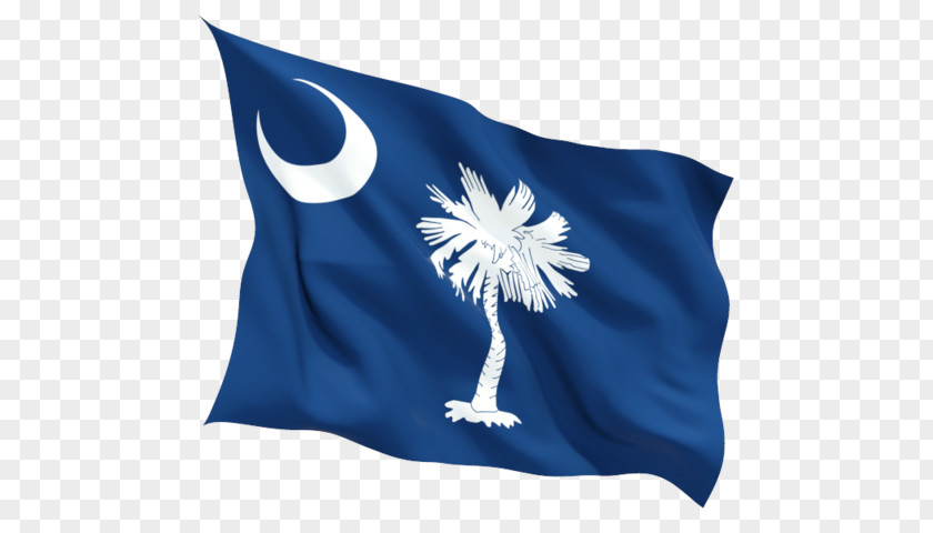 Flag Of South Carolina State North PNG