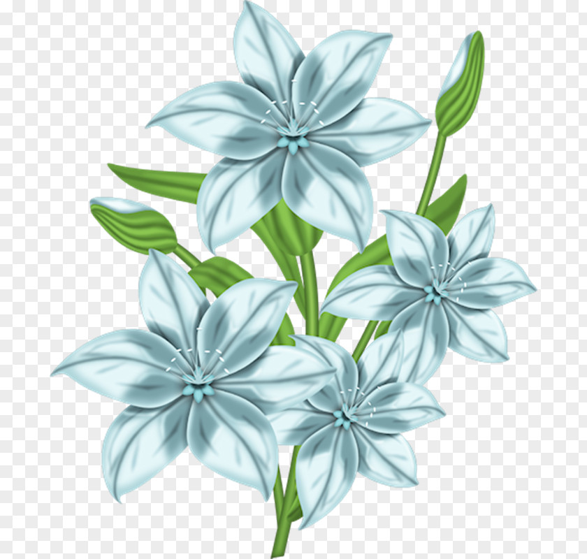 Flores Blancas Animaatio Birthday Clip Art PNG