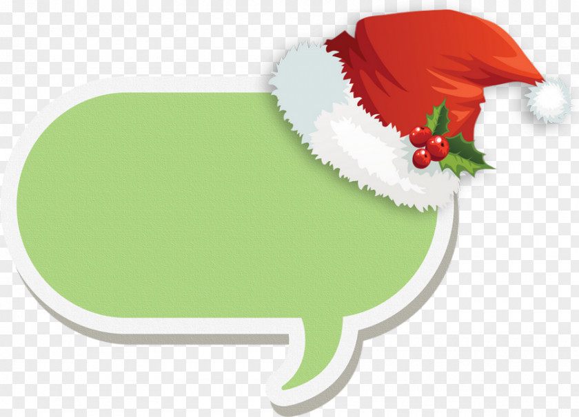 Plant Holly Christmas Santa Claus PNG