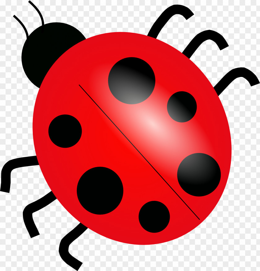 Red Beetle Cartoon Ladybird Drawing Clip Art PNG