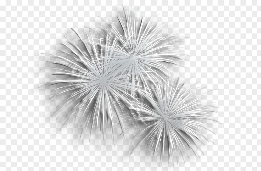 Transparent Silver Fireworks Clipart Clip Art PNG