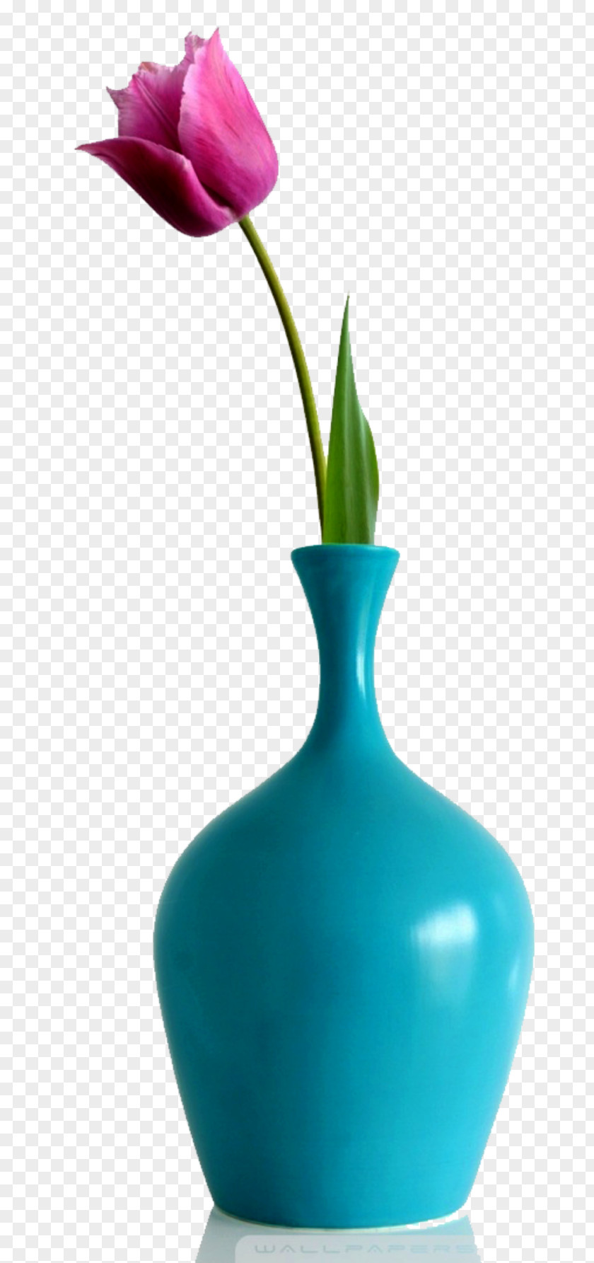 Vase Cartoon Still Life Photography PNG