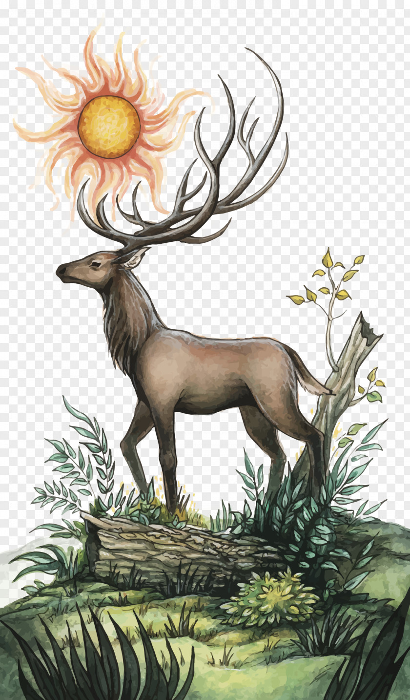Vector Deer And Sun PNG