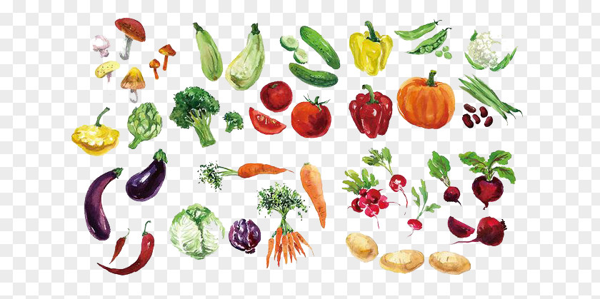 Watercolor Vegetables Fruit Vegetable Painting PNG
