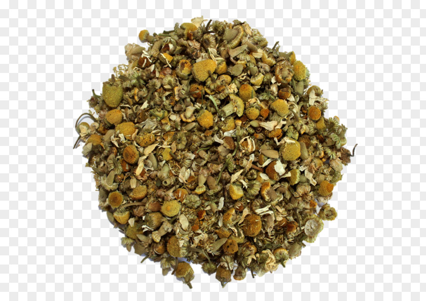Camomile Herbal Tea Spice Antioxidant Phytotherapy PNG
