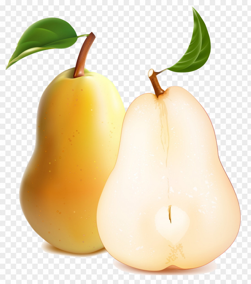Pear Illustration PNG
