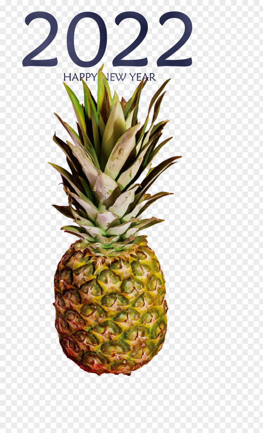 Pineapple PNG