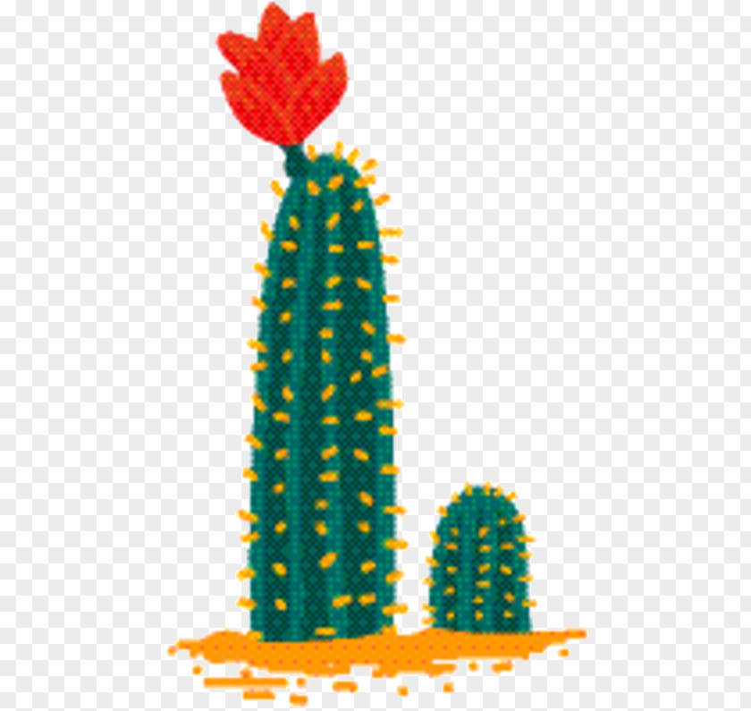 Succulent Plant Caryophyllales Cactus Cartoon PNG