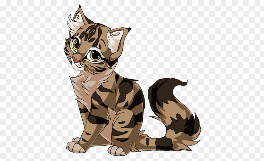 Brown Kitten California Spangled Egyptian Mau DeviantArt Drawing PNG