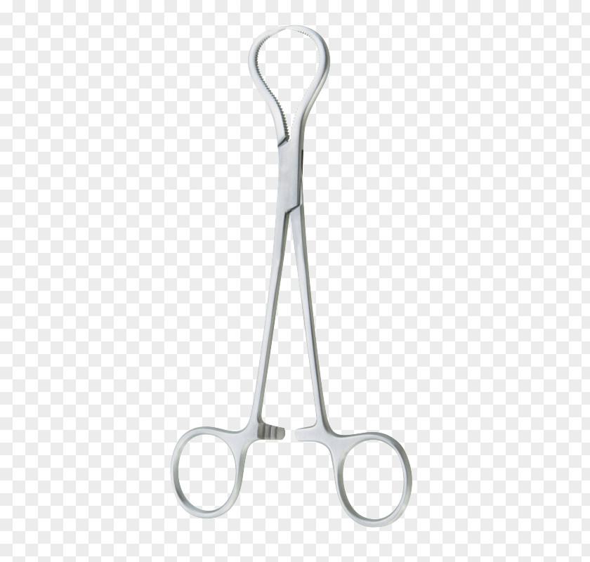 Design Centimeter Bone PNG