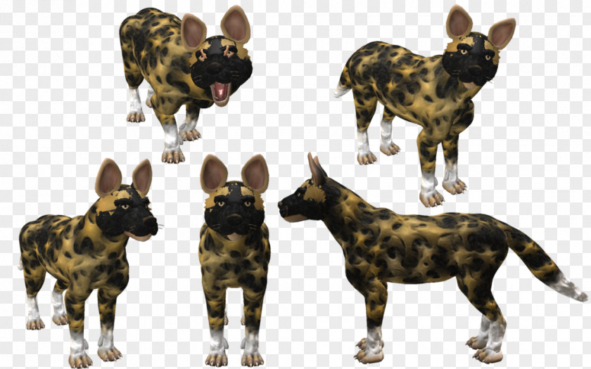 Dog Breed Wildlife PNG