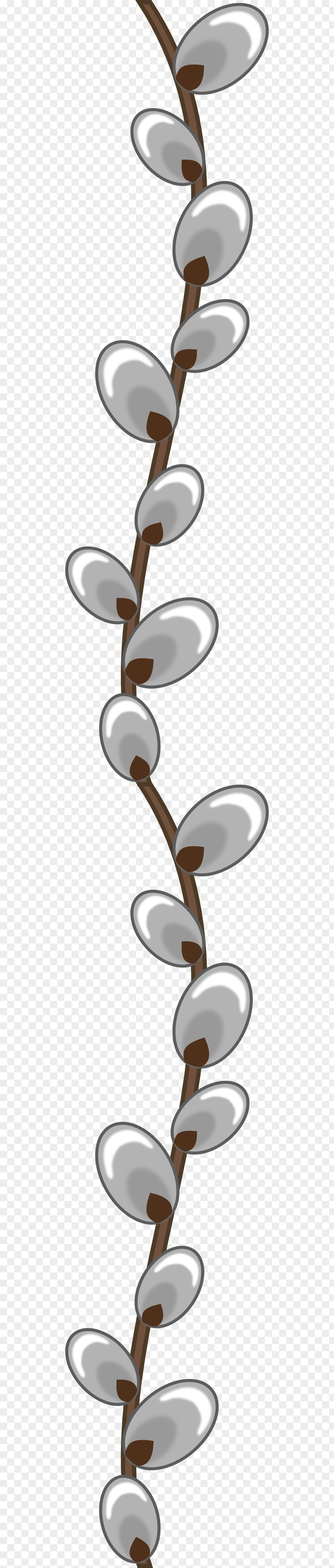 Easter Catkin Willow Clip Art PNG
