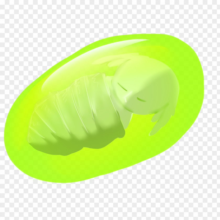 Fragile Life Green PNG