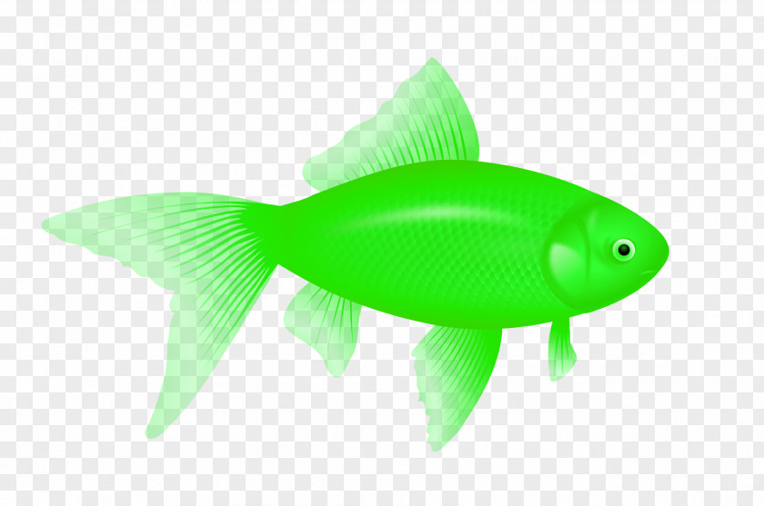 Green Fish Image Icon Computer File PNG