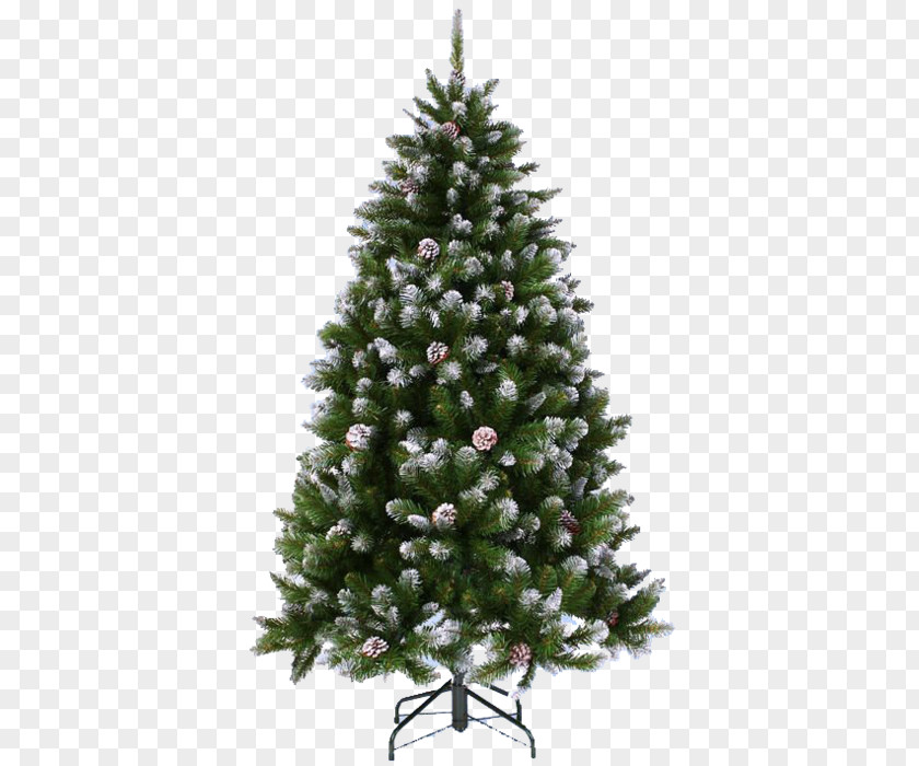 New Year Tree Christmas Spruce Conifer Cone Pine PNG