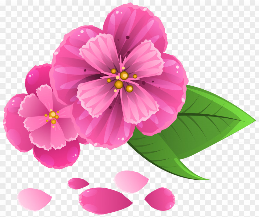 Petal Pink Flowers Clip Art PNG