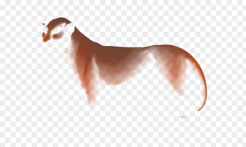 Puppy Dog Breed Italian Greyhound Skin PNG
