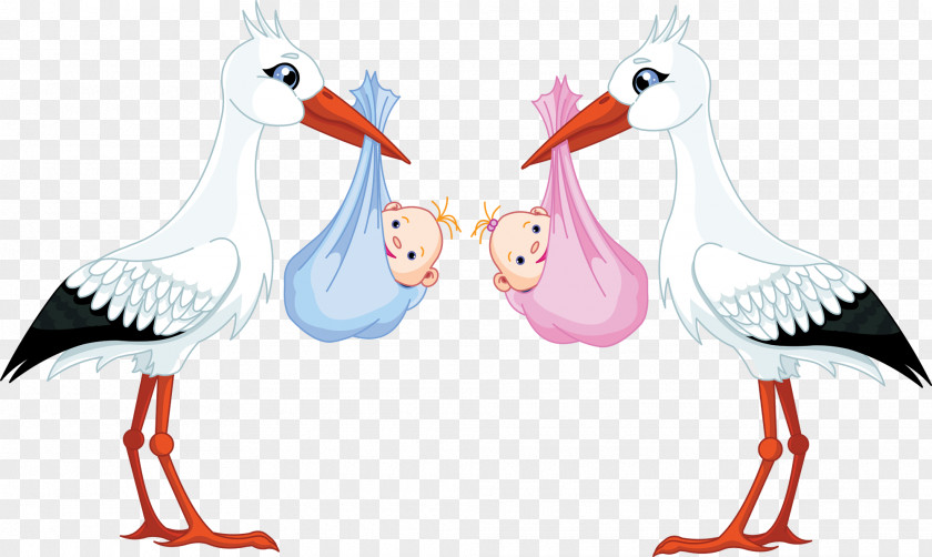Stork And Baby Infant Clip Art PNG