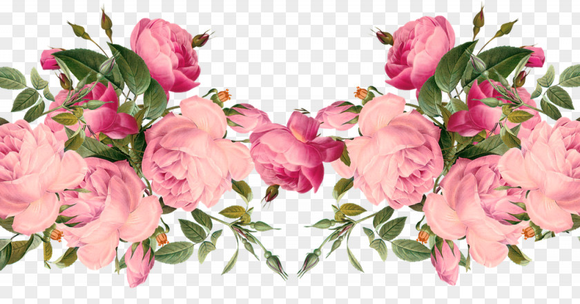 Aesthetic Flower Floral Design Clip Art Rose PNG