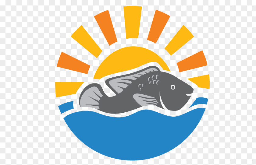 Aquaculture Symbol Yalelo Limited Head Office Fish Business Tilapia PNG