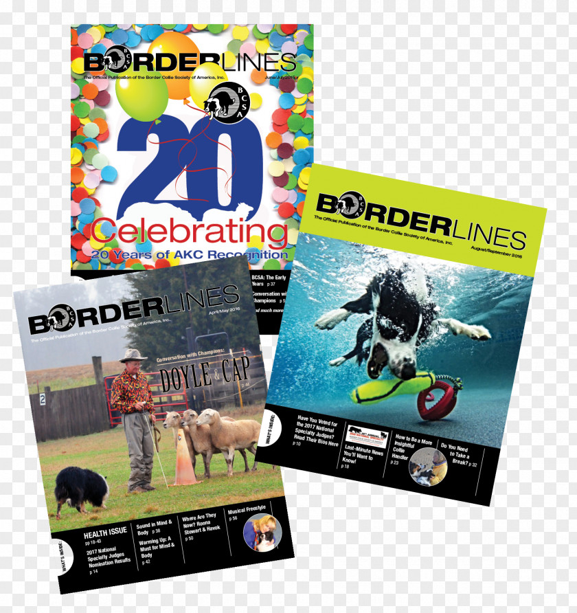 Border Collie Colors Teen Magazine Seventeen Publication PNG