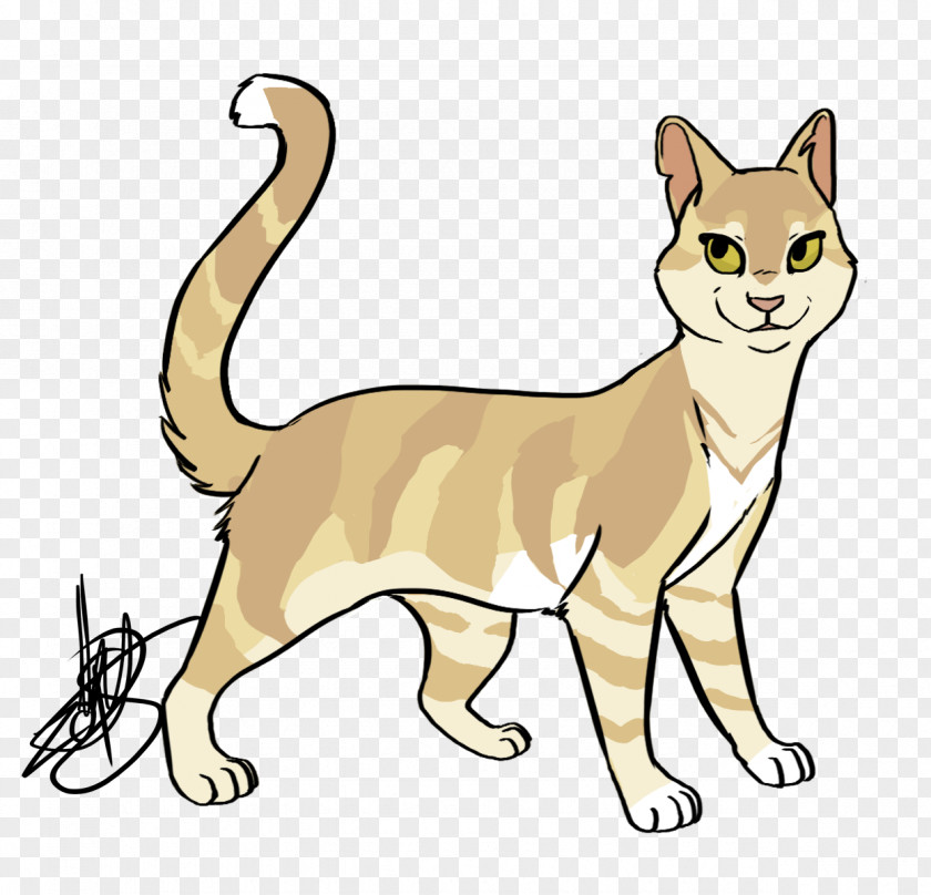 Firestar Whiskers Sokoke Sandstorm Tabby Cat Domestic Short-haired PNG