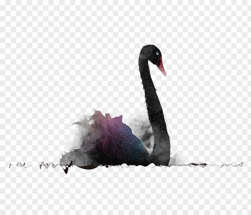 Hand-painted Black Swan Creative Design Theory Poster PNG