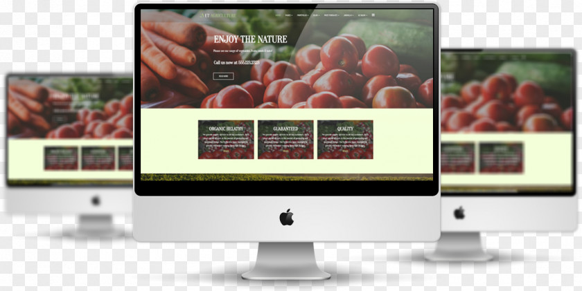 World Wide Web Responsive Design Template System Multimedia PNG