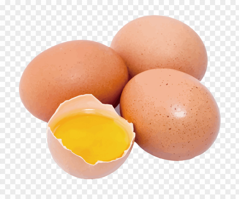 Hand-painted Eggs Realistic Vector Pickled Egg Food Yolk White PNG