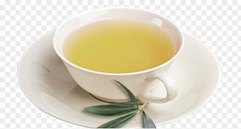 Herbal Tea Hōjicha Earl Grey Mate Cocido Oolong PNG