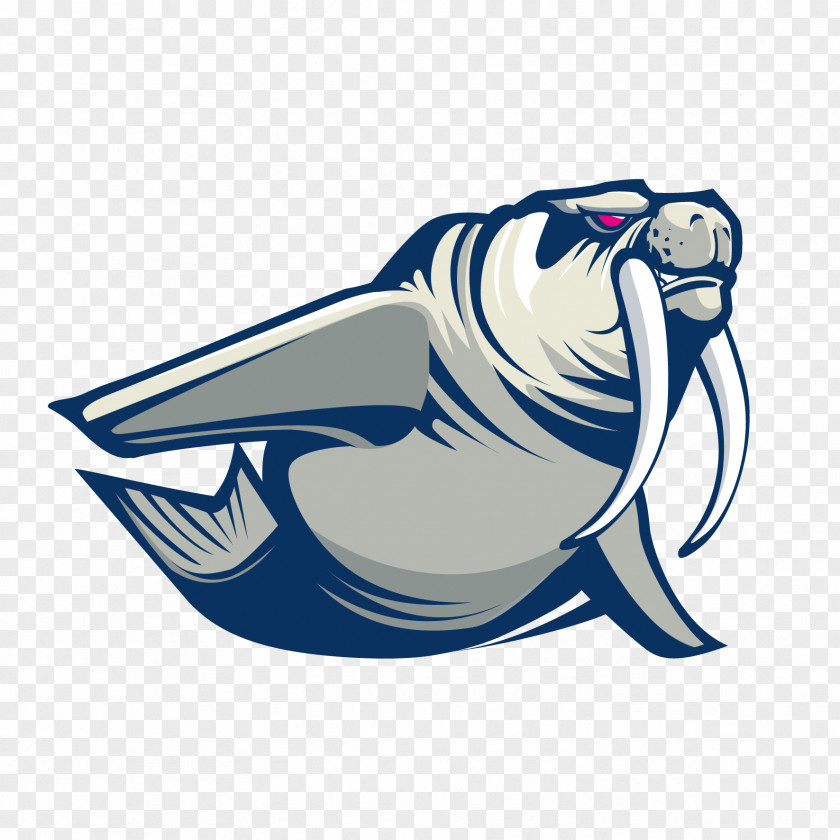 Illustration Clip Art Logo Fish Product Design PNG
