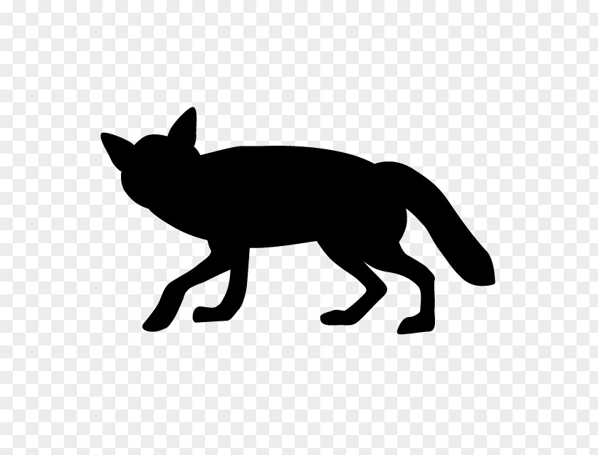 Raccoon Tasmanian Devil Red Fox Clip Art PNG