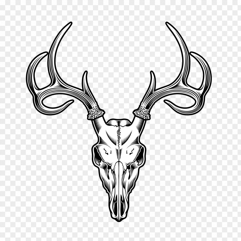 Sheep Tattoo Deer Skull Drawing Illustration PNG