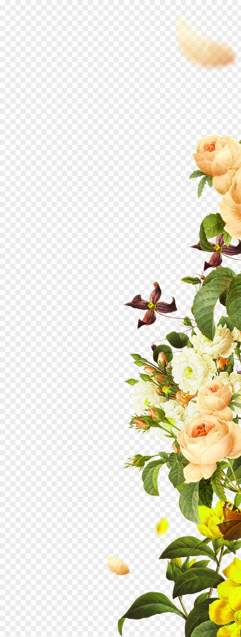 Yellow Fresh Flowers Border Texture PNG fresh flowers border texture clipart PNG