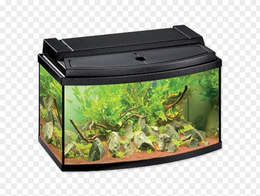 Akvarium Aquarium Filters Eheim Helsingin Akvaariokeskus Innenfilter PNG