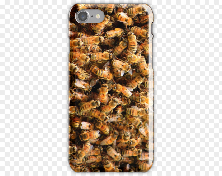 Bee Honey Beehive Honeycomb PNG